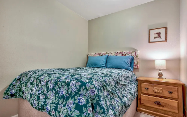 MV3: Lake View Ski Bear Lodge