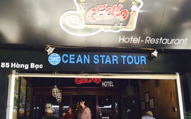 Gecko Hotel
