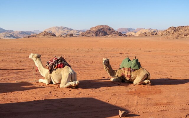 Wadi Rum Firecamp