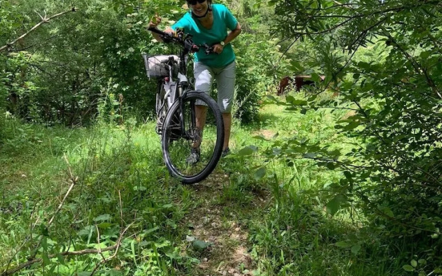 SONNENHOF Apartments