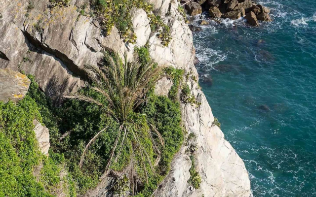 La Lampara Sea View Terrace Apartment With AC