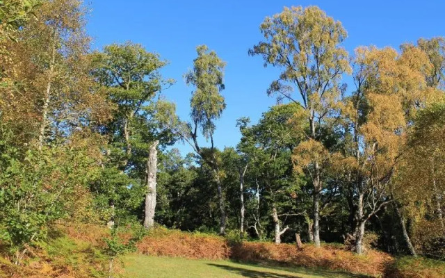 The Braes Guest House