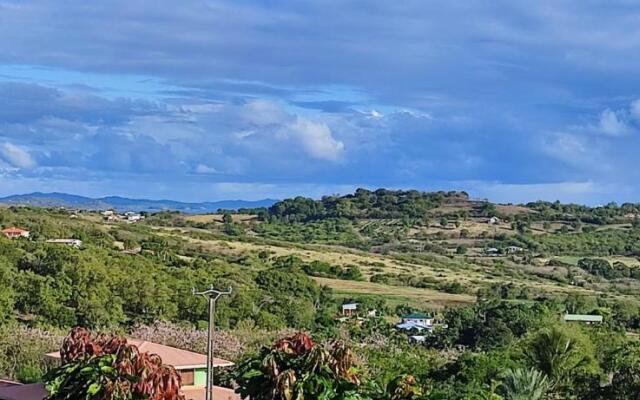 Bungalow vert corail