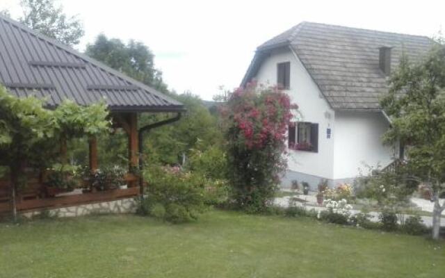 House Nina