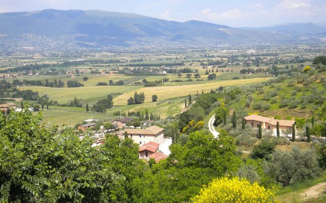 Agriturismo Poggio Degli Olivi - Guest House