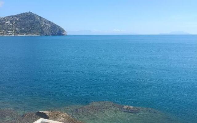 Suite Capri