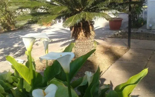 Villa Oasi Cesare