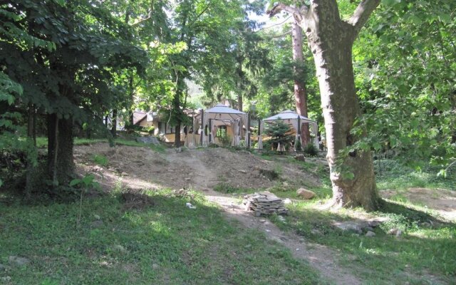 The Zoev House