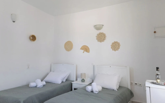 Perla Pool Hotel Andros