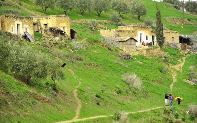 Terre De Traces
