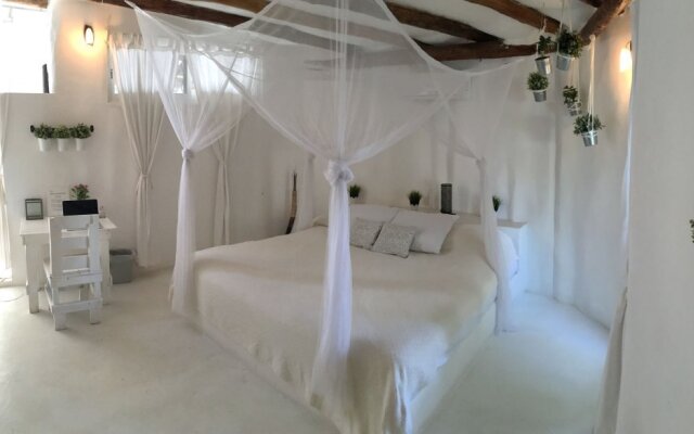 Harmony Glamping Tulum