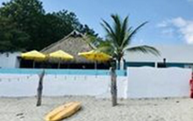 Coconut Blue Panama