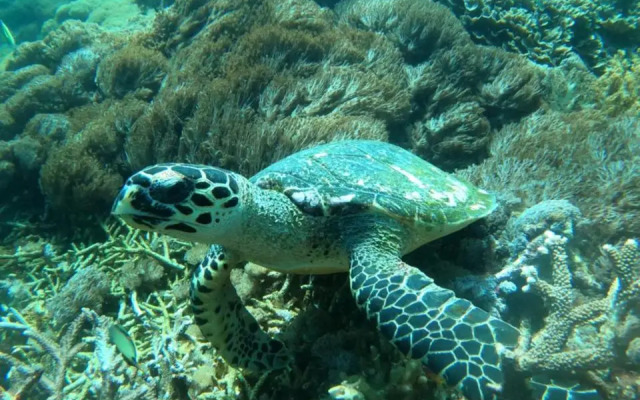 The Sandat Guest House