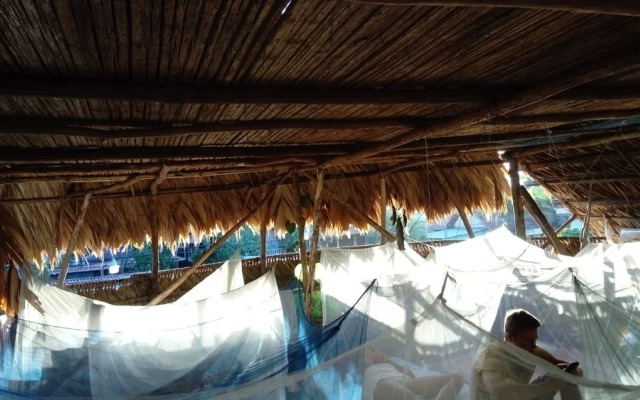 Beta Life Eco Proyecto Hostel