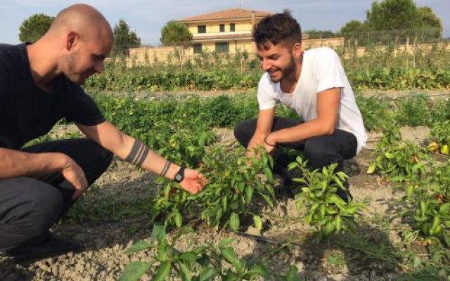 Agriturismo La Casa di Botro