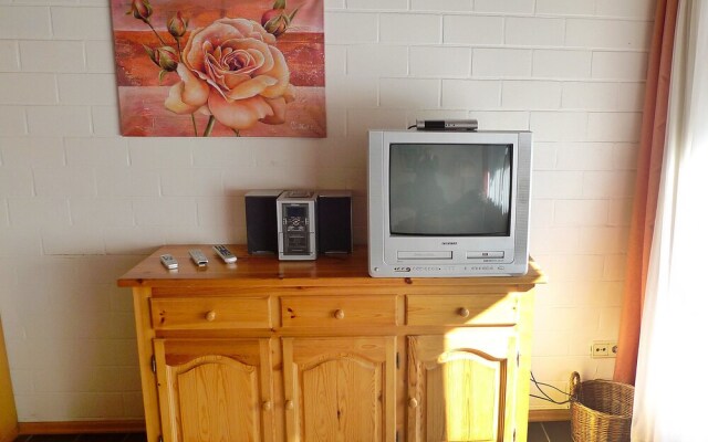 Koralle Norden in Norden