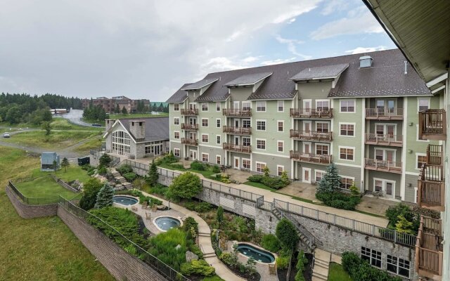 3 Br: Soaring Eagle 405