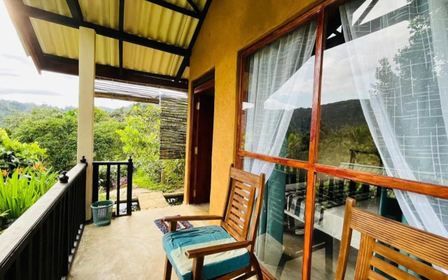 Rainforest Nature House