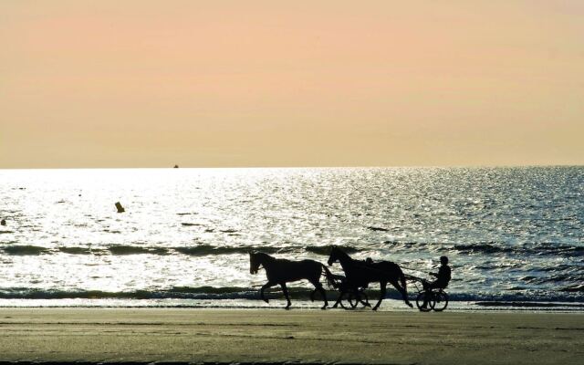 Traditional Apartment With Balcony or Terrace in Deauville