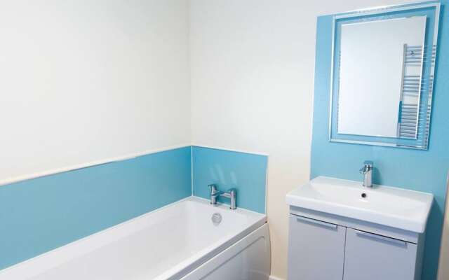 The Albatross - Everything s Above Par