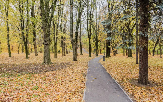 ShortStayPoland Szara B170