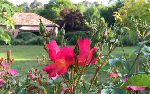 Chambres d'hôtes à Pontonx