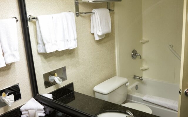 Hampton Inn By Hilton Winnipeg Downtown