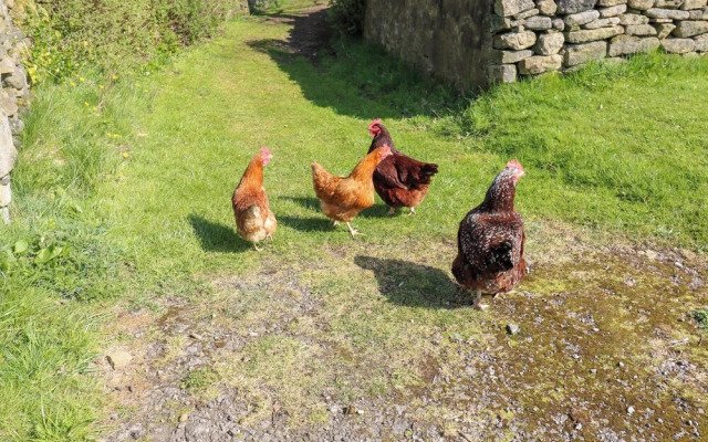 The Barn at Heath Hall Farm