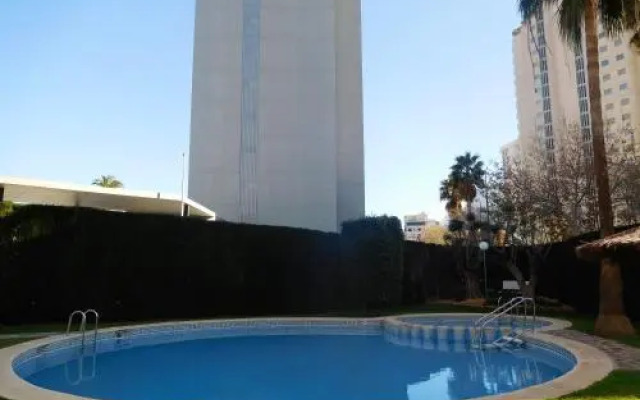 Sunny Beach Apartment