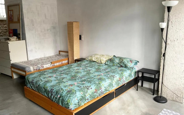 Stylish Art House Palmeti