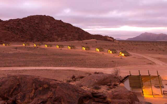 Desert Quiver Camp