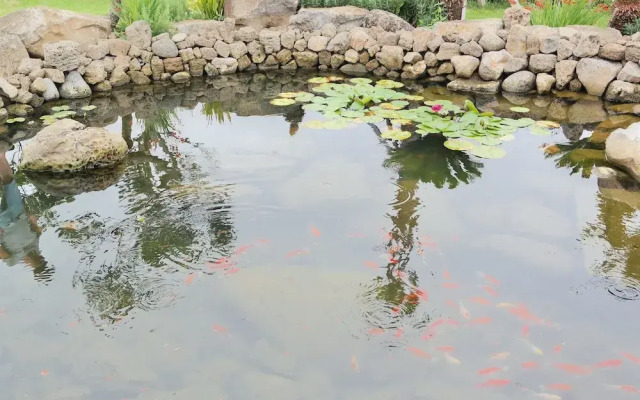 The Freedom - Hostel