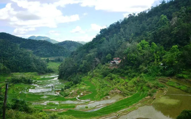 Banaue Greenfields Inn