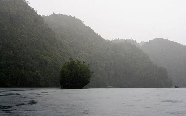 Tarzans Beach Resort