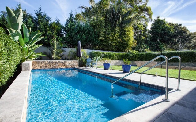 Wilber Wonder (H736)