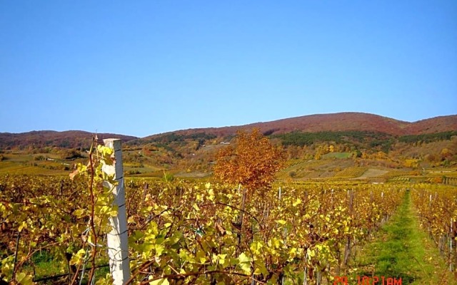 Winzerhotel Gumpoldskirchen