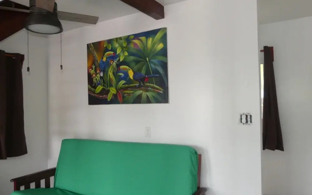 Green Parrot Beach Houses and Resort
