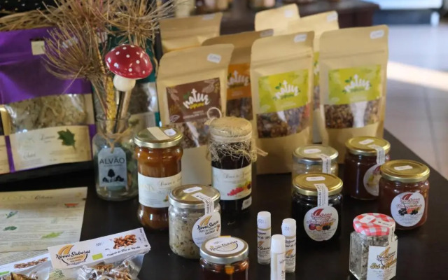 Alvão Village & Camping