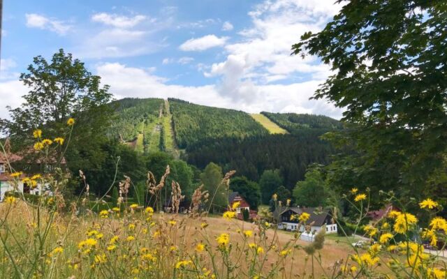 Apartment Alice I Harrachov