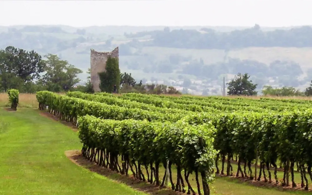 Warm Mansion with Swimming Pool in Sigoules France
