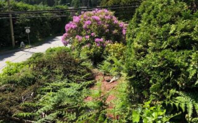 City Gardens Suites B&B