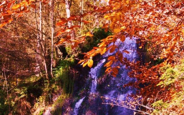 Tilly's B&b And Apartment House