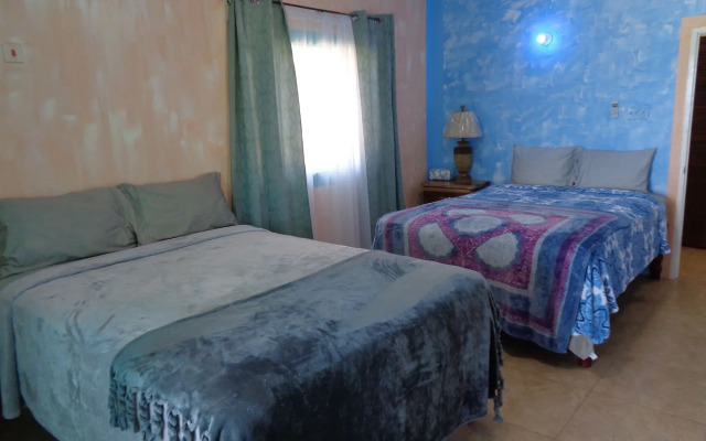 BLS Wellness Guest House