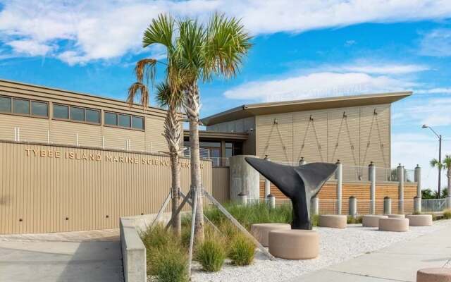 Captain Champs Castaway