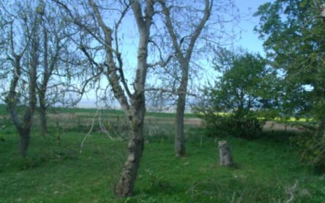 Scooniehill Farm House B&B