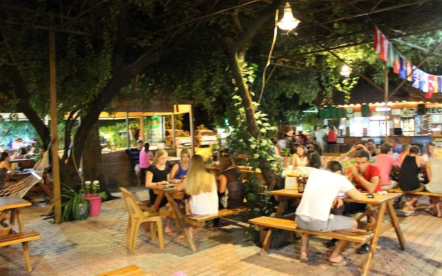 Olympos Orange