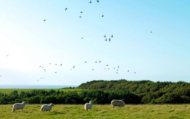 16 'petra' Bell Tent Glamping Anglesey