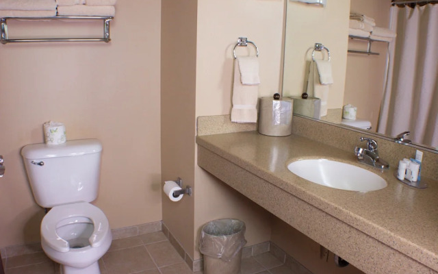 Wild Rose Casino & Hotel Emmetsburg