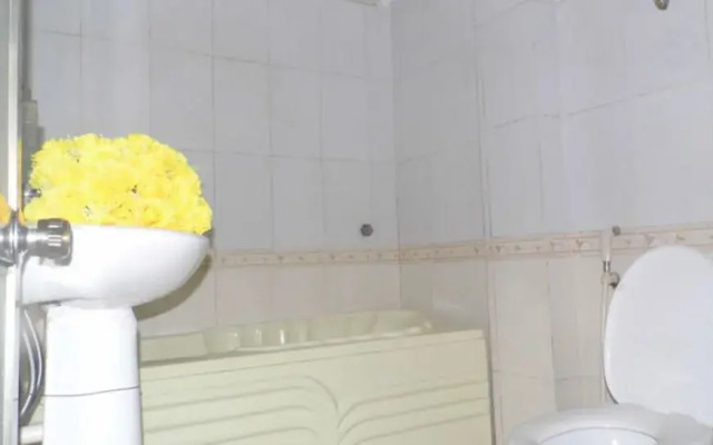 Home Backpackers Hostel