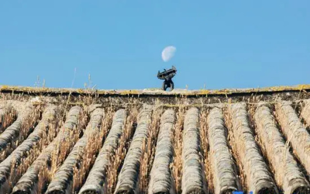 Waldosia Dali Hostel